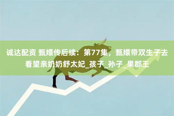 诚达配资 甄嬛传后续：第77集，甄嬛带双生子去看望亲奶奶舒太妃_孩子_孙子_果郡王