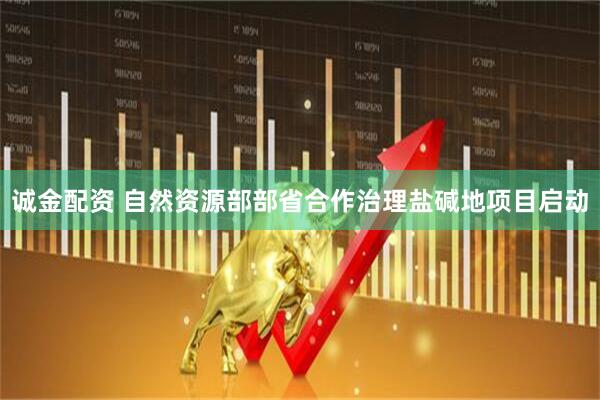 诚金配资 自然资源部部省合作治理盐碱地项目启动
