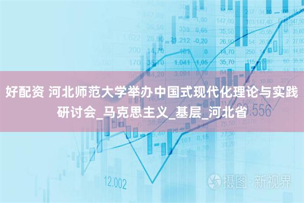 好配资 河北师范大学举办中国式现代化理论与实践研讨会_马克思主义_基层_河北省